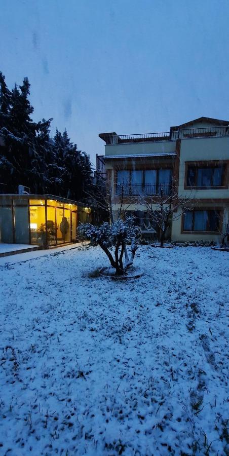 Doga Villa Guest House Büyükçekmece Kültér fotó